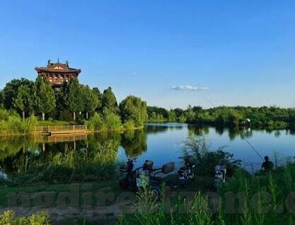巴乙足球比分-巴乙赛场风云录,比分背后的激情与梦想
